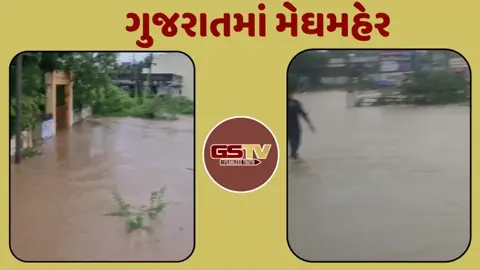 Gujarat: આ જિલ્લાઓમાં મેઘરાજાની ધમાકેદાર બેટિંગ, ધોધમાર વરસાદથી અનેક વિસ્તારોમાં ભરાયા પાણી