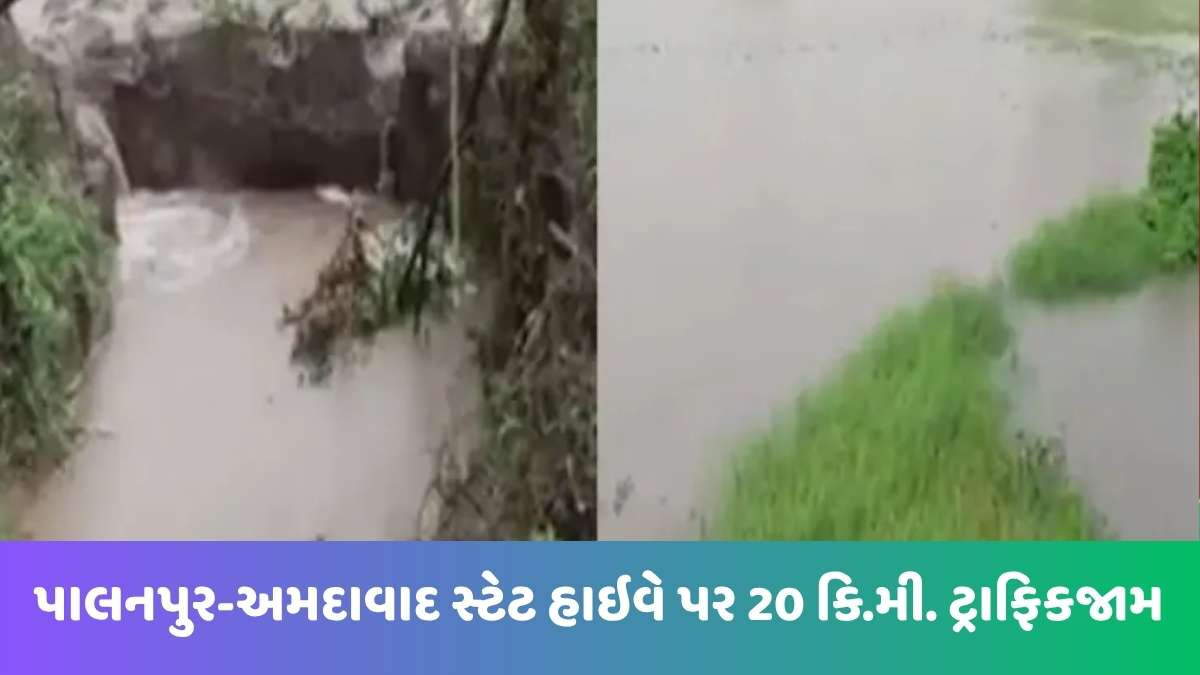 Banaskantha news: ધાનેરાના માલોત્રા ગામનું તળાવ તૂટતા ખેતરોમાં પાણી ફરી વળ્યાં, શાળા પાણીમાં ગરકાવ