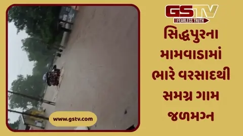VIDEO: સિદ્ધપુરમાં સાંબેલાધાર 7 ઇંચ વરસાદ, કાકોશી અને મામવાડા ગામ ભારે વરસાદથી  જળમગ્ન, ગળાડૂબ પાણીમાંથી લોકોનું રેસ્ક્યું