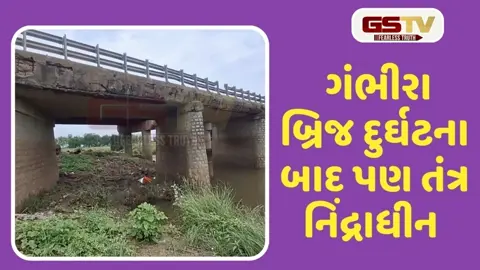 VIDEO: વડોદરા-ડભોઈ રોડને જોડતા કેનલપુર બ્રિજ જર્જરિત હોવાથી જીવનું જોખમ