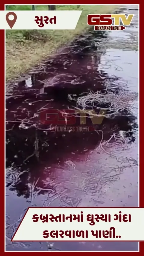 VIDEO: Surat પાલિકાની ડ્રેનેજનું કલર-કેમિકલવાળું પાણી કબ્રસ્તાનમાં પહોંચ્યું, વૃક્ષ સાથે કબરને પણ નુકસાન