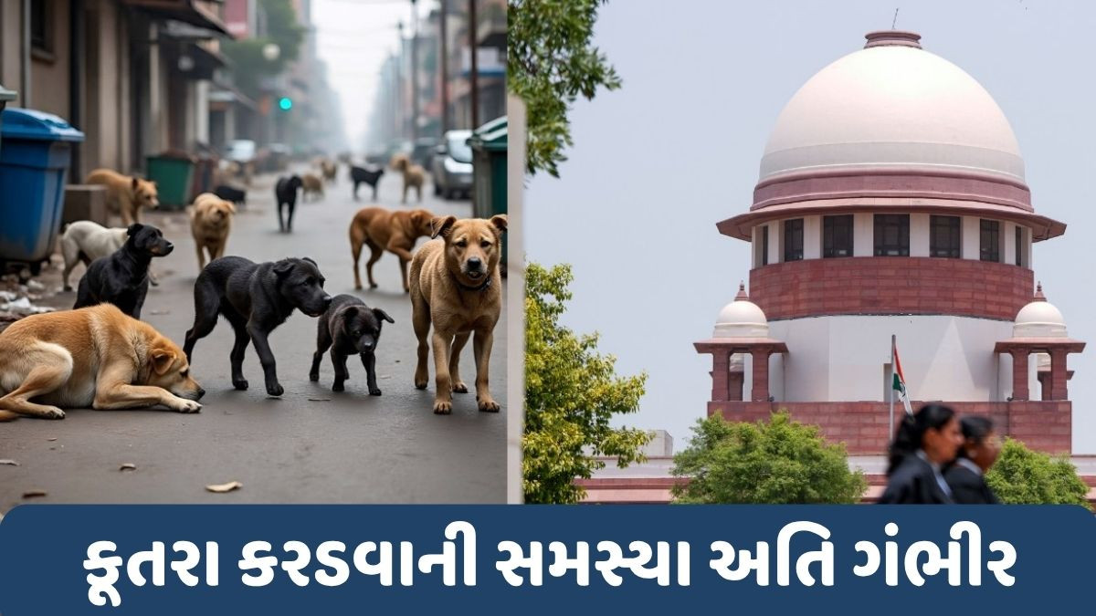દિલ્હીમાં કૂતરા કરડવાની સમસ્યાથી સુપ્રીમ કોર્ટ પરેશાન, કરી સખ્ત ટિપ્પણી