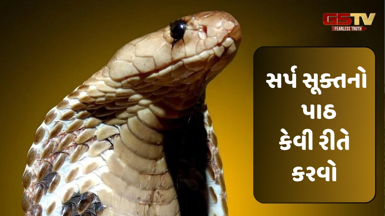 Religion : આ પાઠથી કરવાથી કાલસર્પ દોષનો પ્રભાવ દૂર થાય છે