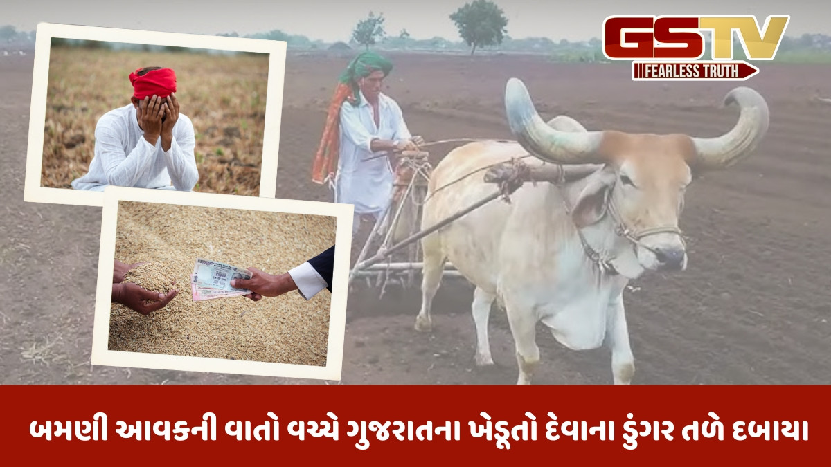 સમૃદ્ધ ગુજરાતના ખેડૂતો બન્યા દેવાદાર, ખેતી બચાવવા લીધી 1લાખ 47 હજાર કરોડની લોન