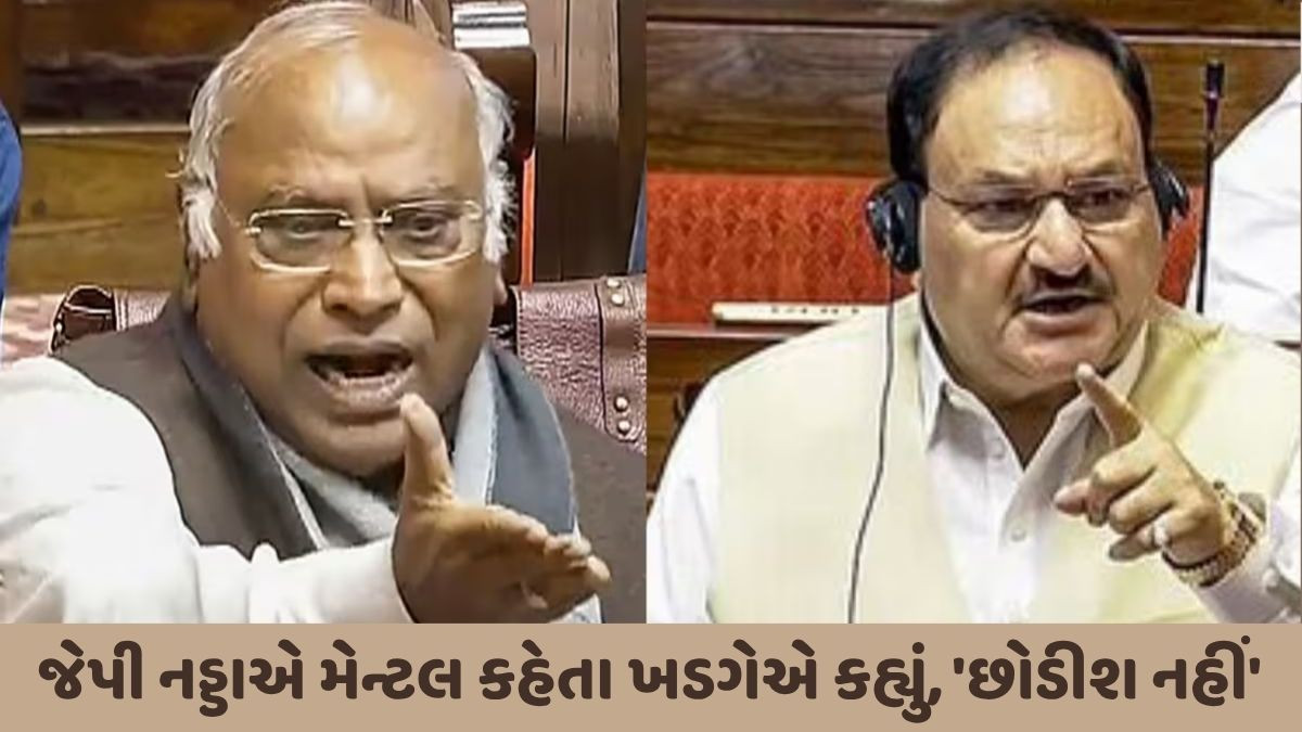 'માનસિક સંતુલન ગુમાવ્યું...', રાજ્યસભામાં નડ્ડાએ ખડગેને મેન્ટલ કહ્યા બાદ માગી માફી