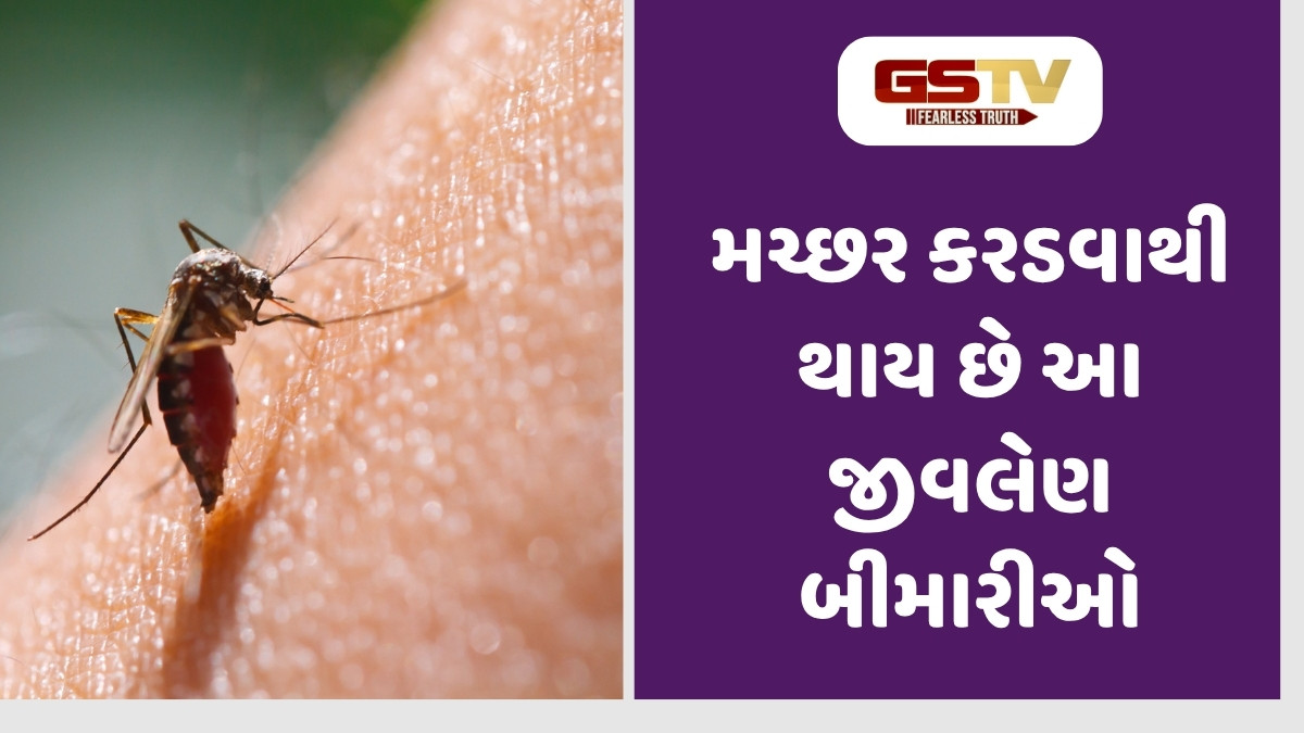 Health Tips: મચ્છર કરડવાથી ફેલાય છે આ 4 ગંભીર રોગો, વરસાદની ઋતુમાં જોખમ વધારે