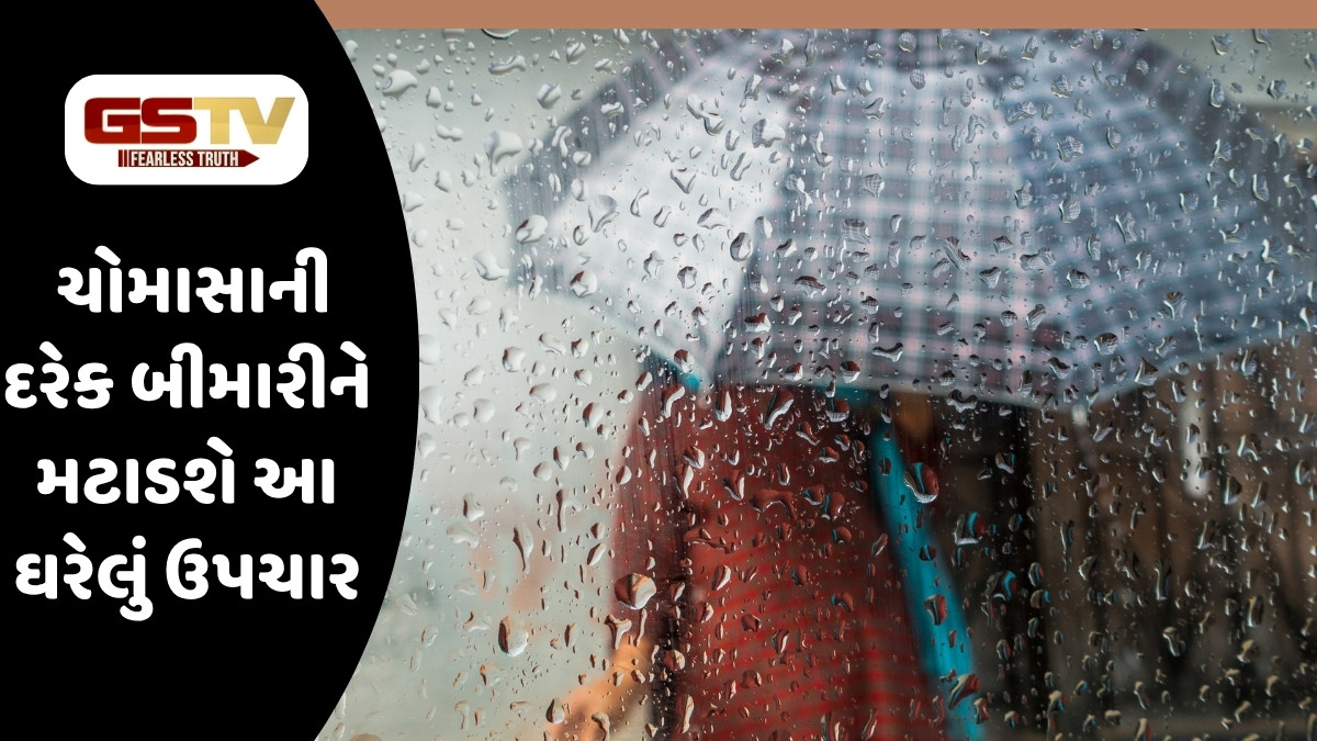Health Tips: ચોમાસાની દરેક બીમારીને મટાડશે આ ઘરેલું ઉપચાર, ત્વચાની એલર્જી અને વાયરલ ચેપથી મળશે રાહત