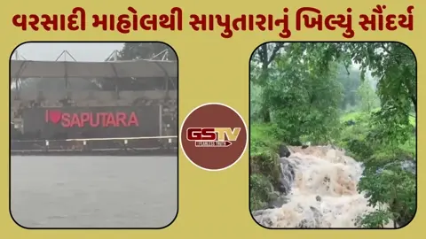 VIDEO: Dangમાં વરસાદી માહોલ, ધીમેધારે વરસાદ પડવાથી પ્રાકૃતિક સૌંદર્ય ખીલી ઉઠ્યું