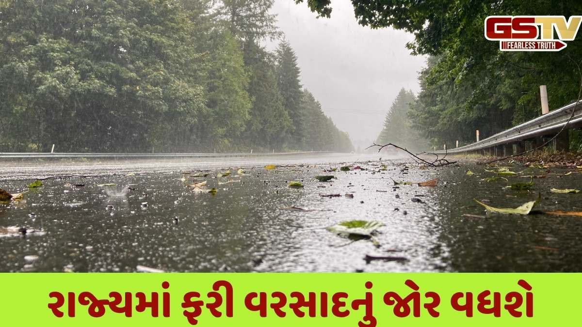 Gujarat Rain Forecast: ગુજરાતમાં આવતા 6 દિવસ ભારે, દક્ષિણ અને ઉત્તર ગુજરાતના જિલ્લાઓમાં ભારે વરસાદનું અપાયું એલર્ટ