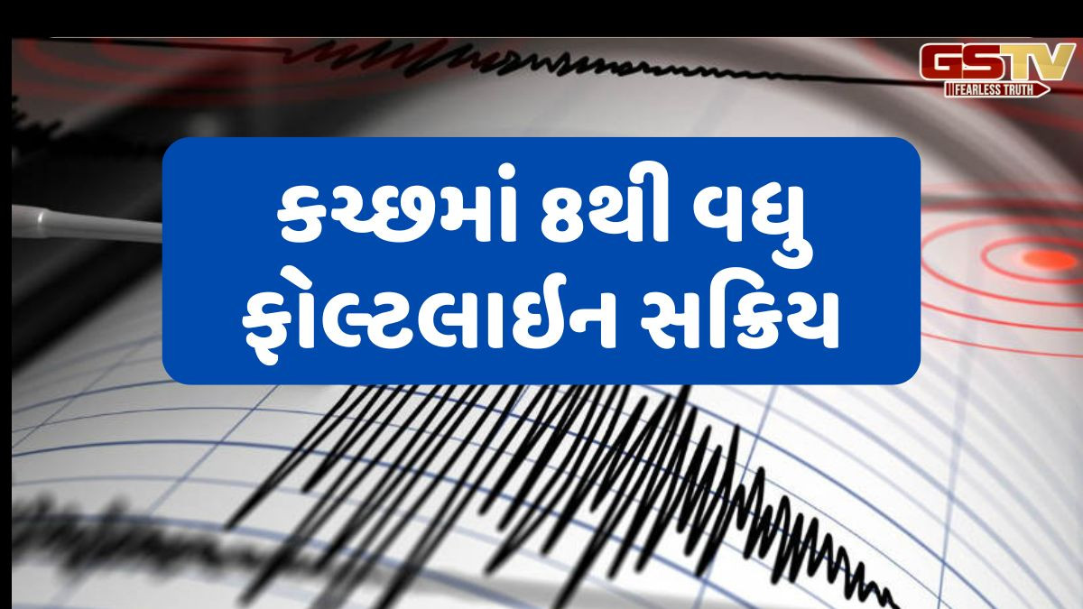 કચ્છમાં ફરી ભૂકંપના ઝટકા અનુભવાયા, રાપરના બેલા નજીક કેન્દ્ર બિન્દુ નોંધાયું 