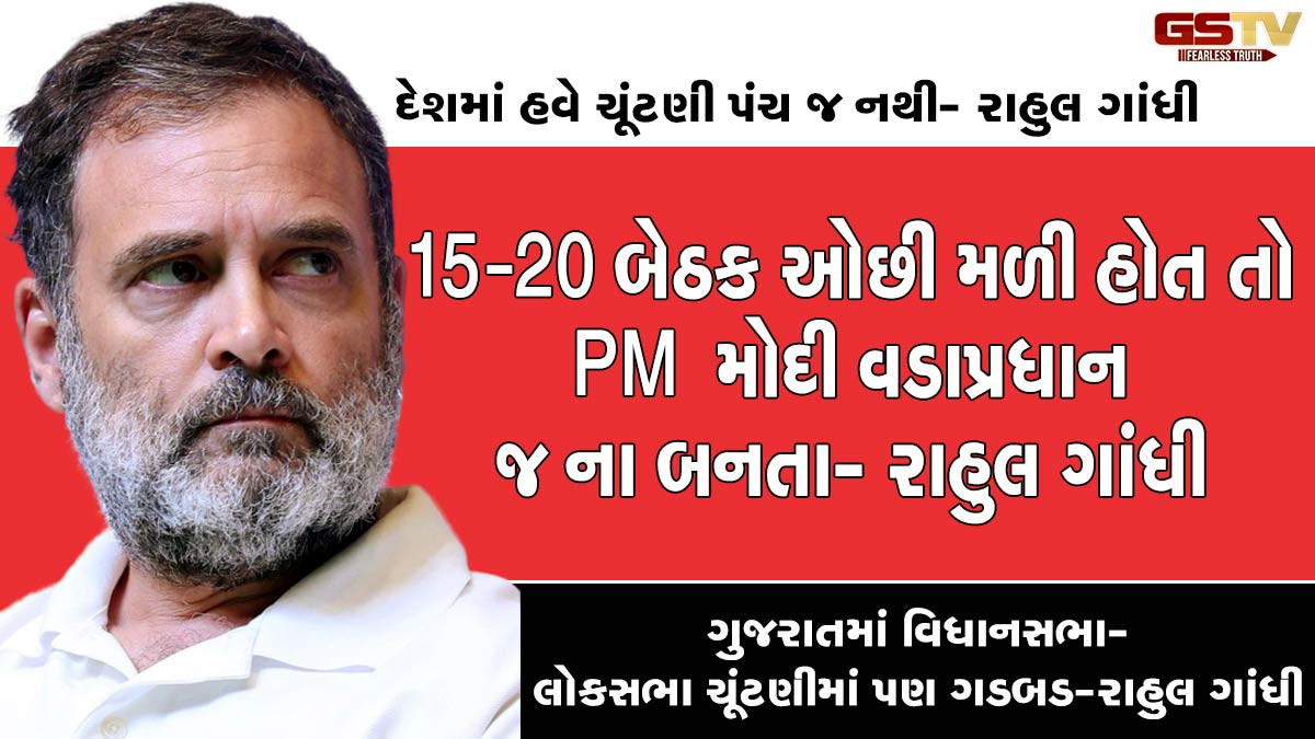 'લોકસભા ચૂંટણીમાં ગડબડ થઇ હતી અમારી પાસે પુરાવા છે', રાહુલ ગાંધીએ ફોડ્યો ચૂંટણી પંચ પર બોમ્બ
