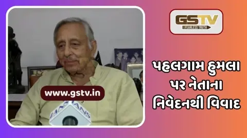 Pahalgam આતંકવાદી હુમલામાં પાકિસ્તાનનો હાથ હોવાના કોઈ પુરાવા નથી: દિગ્ગજ નેતાના નિવેદનથી વિવાદ