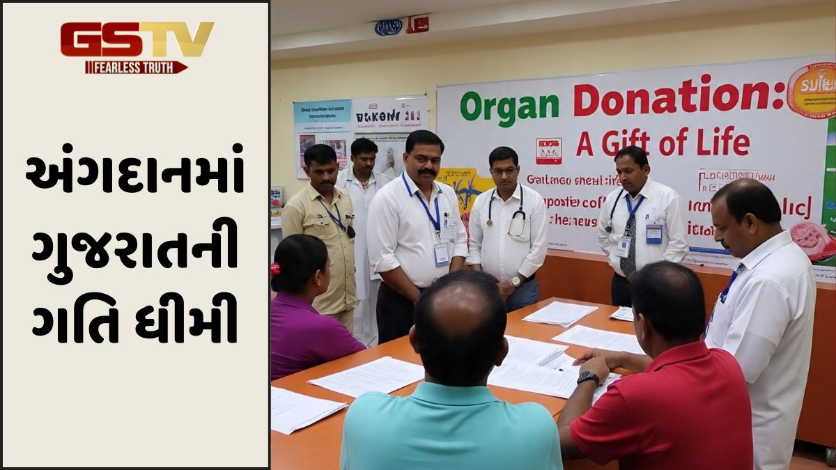 Gujarat અંગદાનમાં સૌથી પાછળ , છેલ્લા 10 વર્ષમાં ટોચના 6 રાજ્યોમાં પણ નથી