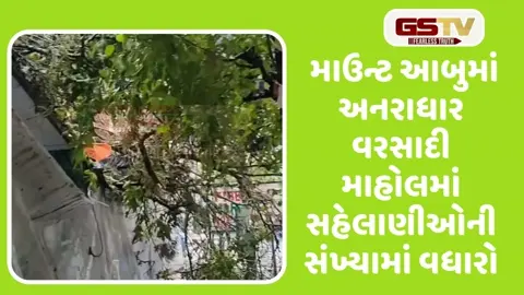   VIDEO: માઉન્ટ આબુમાં 6 ઈંચ વરસાદ ખાબકતા વૃક્ષ ધરાશાયી થતા 5 દુકાનોને નુકસાન 