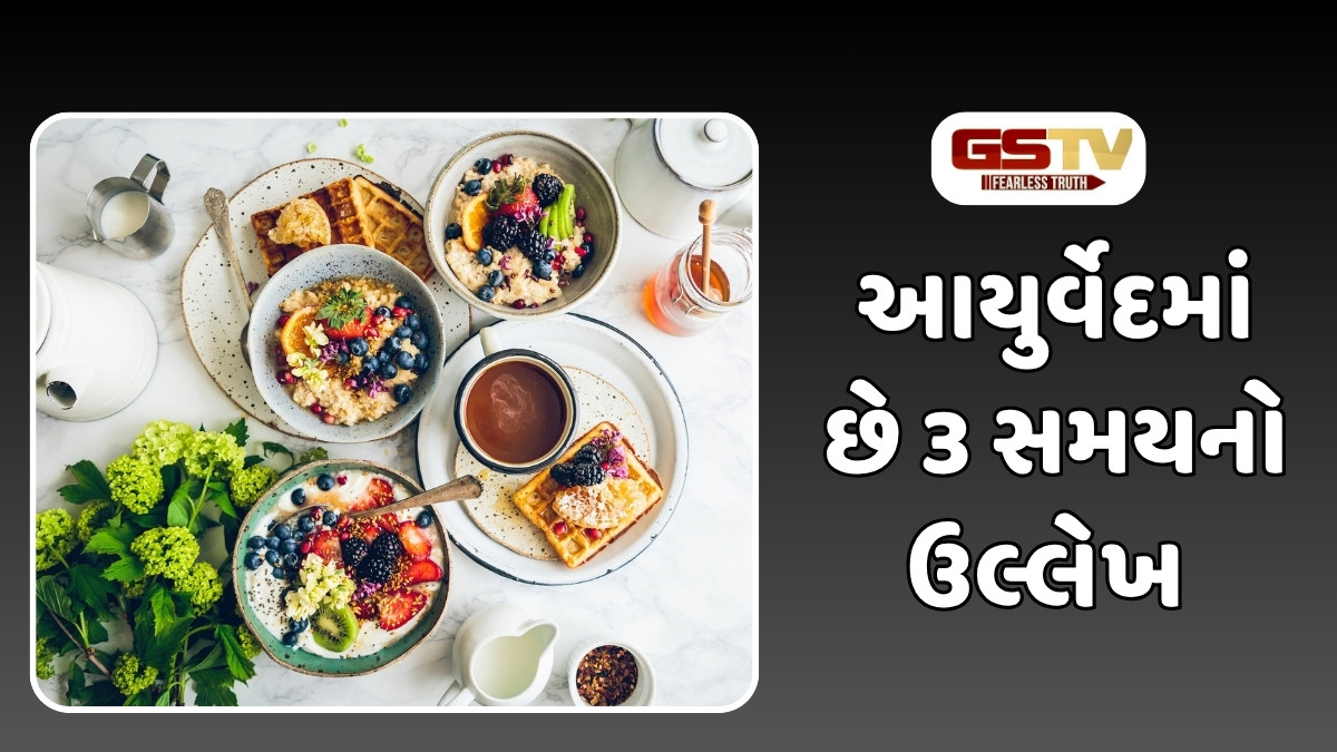 Health Tips : નાસ્તોથી લઈને બપોરના ભોજનનો યોગ્ય સમય, ક્યારેય અપચોની સમસ્યા નહીં થાય