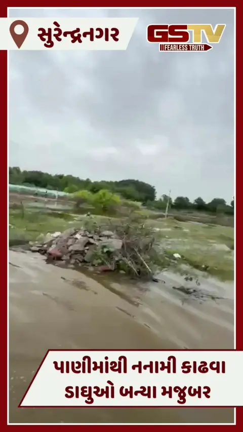 VIDEO: સુરેન્દ્રનગરના પાટડીમાં ઢીંચણ સમા પાણીમાંથી નનામી કાઢવા ડાઘુઓ બન્યા મજબુર