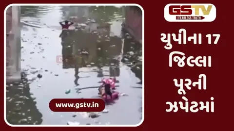પ્રયાગરાજમાં રસ્તા - મકાનો અને ઘાટ ડૂબ્યા, નવજાતને હાથમાં લઈને નીકળ્યા મા-બાપ