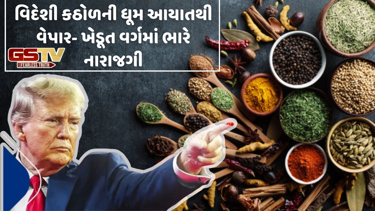 Business Plus: ઉંચા ટેરિફથી ભારતીય મસાલા વેપારને ફટકો પડવાની ભીતિ