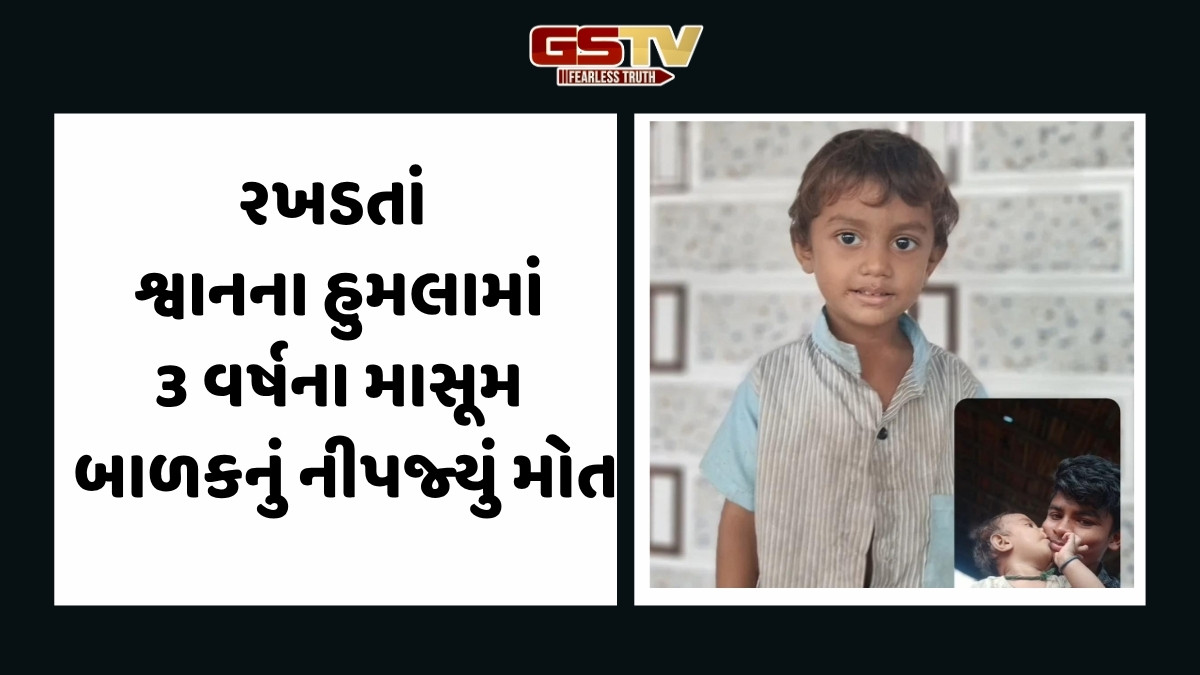 Chhotaudepur News: ધનપુર ખોસ વસાહતમાં રખડતા શ્વાનનો હુમલો, 3 વર્ષના માસૂમનું મોત