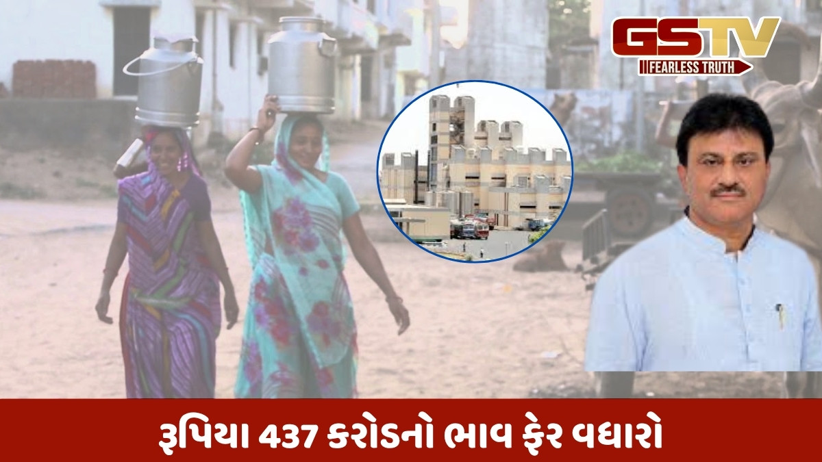 Mehsana news: 437 કરોડના ભાવ ફેર વધારાની દૂધસાગર ડેરીની જાહેરાત, વીમાની રકમ બમણી