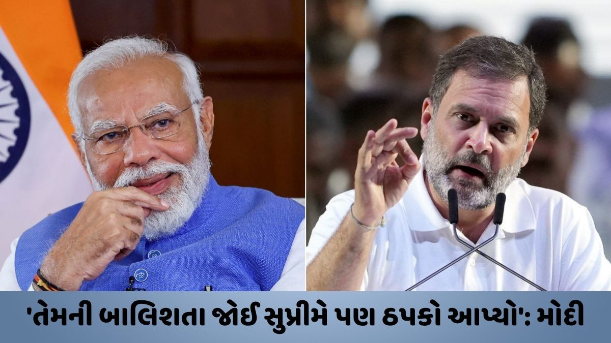 'વિપક્ષે પોતાના જ પગ પર કુહાડી મારી', રાહુલ ગાંધીનું નામ લીધા વિના PM મોદીના પ્રહાર