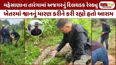 VIDEO: મહેસાણાના તારંગામાં આવ્યો મહાકાય અજગર, જુઓ દિલધડક રેસ્ક્યું
