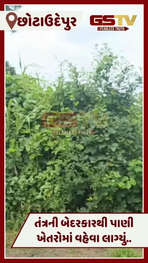 VIDEO: Chhotaudepurના ગઢબોરીયાદમાં પાણીનો વેડફાટ, લીકેજ રિપેર ન થતાં ખેતરોમાં ઉડ્યા ફુવારા