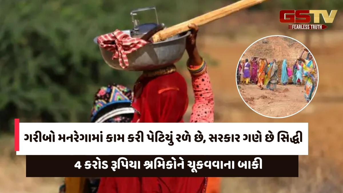 વાઈબ્રન્ટ ગુજરાત: 1 કરોડ ગરીબ મનરેગામાં મજૂરી કરવા મજબૂર, 'રોજગાણીની ઘણી તકો' તે ચિત્રની અસલિયત ખુલ્લી પડી