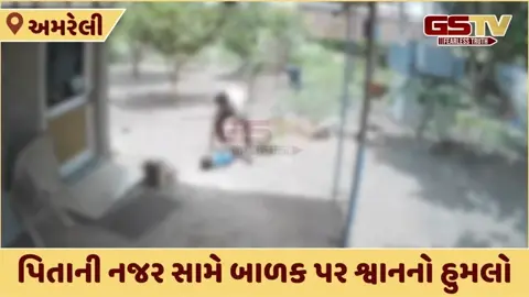 Amreliમાં રખડતા શ્વાનનો આતંક, દોઢ વર્ષના બાળક પર કર્યો જીવલેણ હુમલો