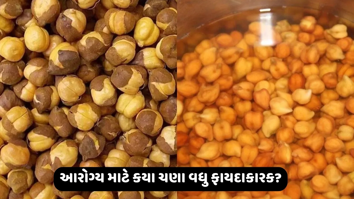 Health Tips: નિરોગી રહેવા માટે પલાળેલા ચણા ખાવા જોઈએ કે શેકેલા? શરીર માટે કયા રહેશે વધુ ફાયદાકારક?