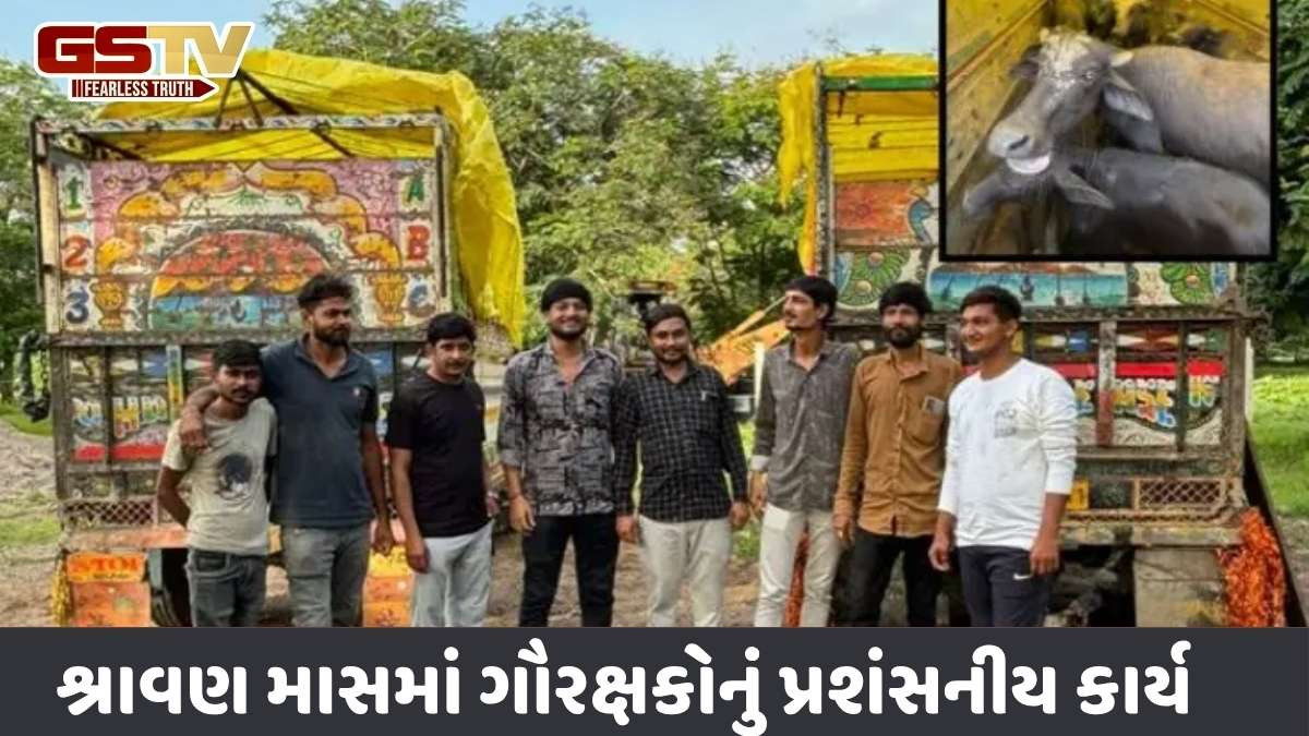 Jamnagar news: 21 અબોલ પશુઓને કચ્છથી જામનગર કતલખાને લઈ જવાતા બચાવી લેવાયા, 3 આરોપી સકંજામાં