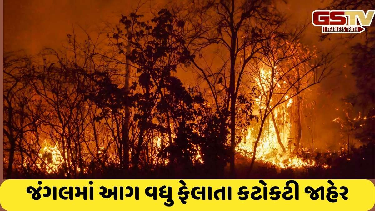 California: ફરીથી કેલિફોર્નિયાના જંગલમાં વિકરાળ આગ લાગી, 50 હજારથી વધુ લોકો પર ખતરો