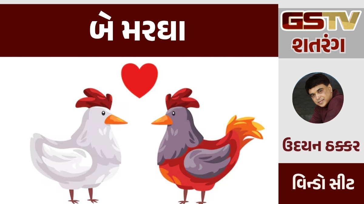 GSTV શતરંગ/ બે મરઘા