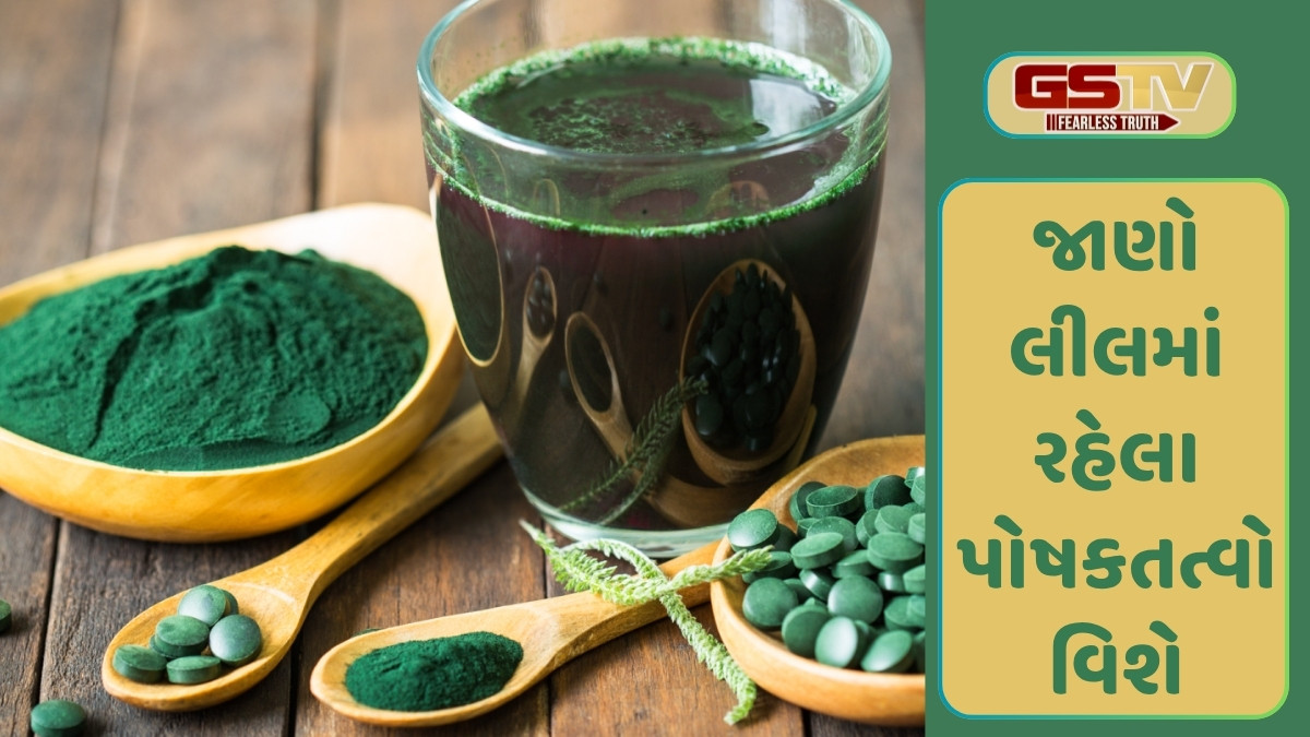 Business Plus: algae (લીલ) એક જાતની ખેતી છે અને તેનો ખોરાક તરીકે ઉપયોગ થઇ શકે છે, જાણો શેવાળ વિશે રસપ્રદ માહિતી