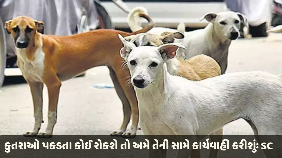 દિલ્હીમાં તમામ રખડતા કૂતરાઓને 8 અઠવાડિયામાં પકડી લો, સુપ્રીમ કોર્ટનો આદેશ