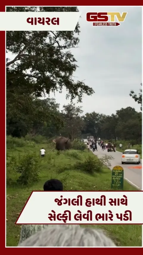 VIDEO : જંગલી હાથી સાથે સેલ્ફી લેવી યુવકને ભારે પડી, 'ગજરાજ'એ કર્યો જીવલેણ હુમલો 