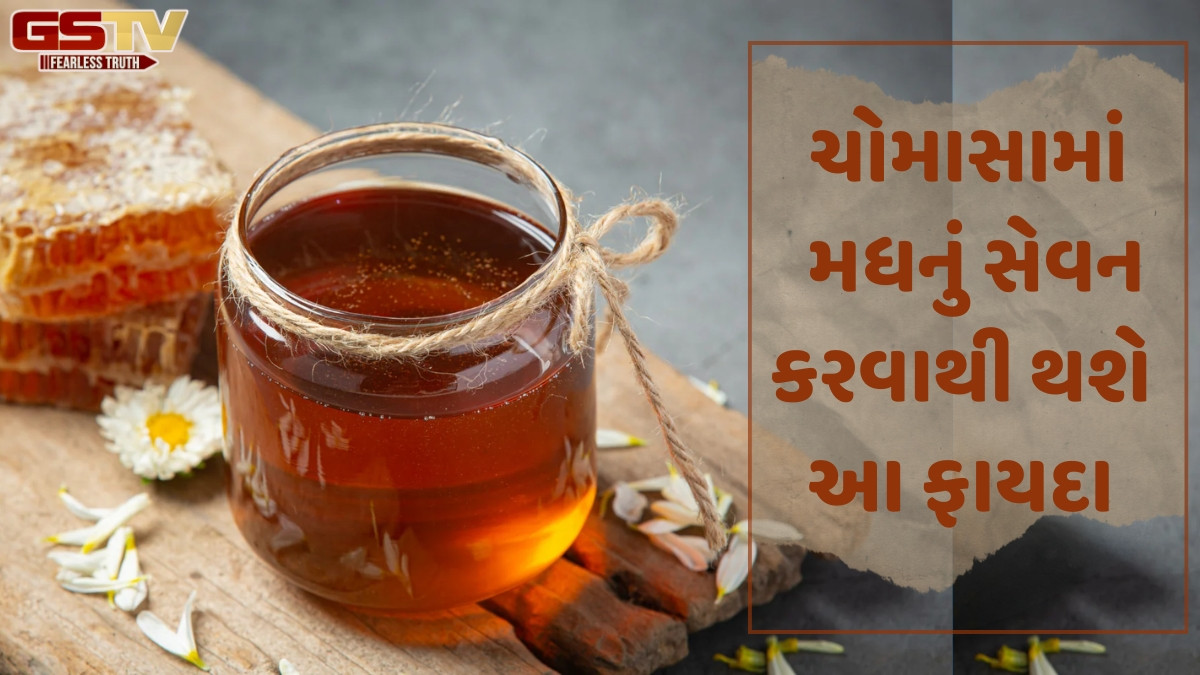 Sahiyar/ ચોમાસામાં ડાયટીંગ: અષાઢથી આસો માસમાં શું ખાવું, શું નહિં