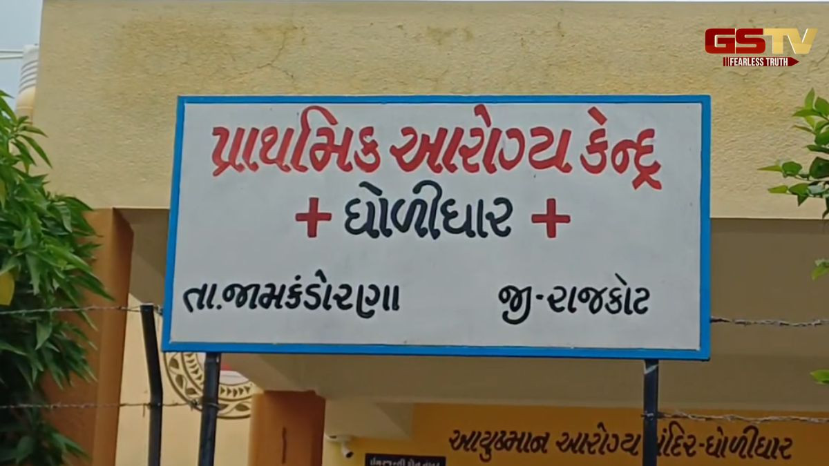 Rajkot news: ફરી એક વાર અજ્ઞાત જંતુનો આતંક; ત્રણ લોકોને કરડતા સારવાર હેઠળ, ગામમાં ભયનો માહોલ