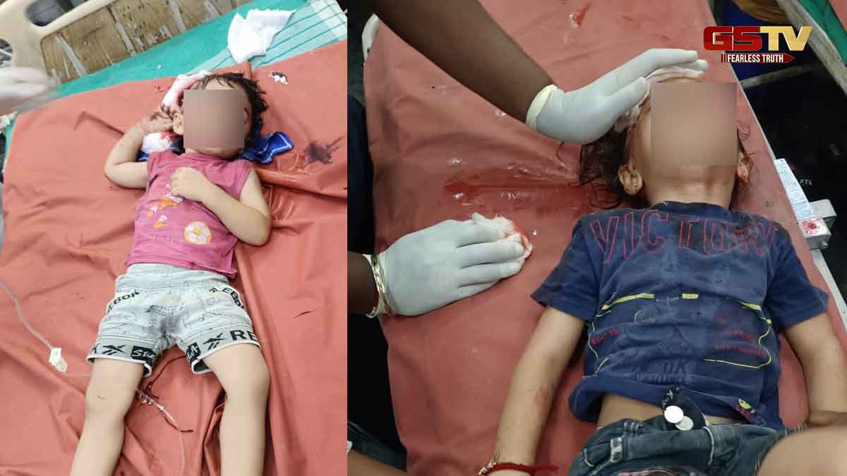 Surat News: રેલવે ટ્રેક પર સામૂહિક આપઘાતનો પ્રયાસ, મહિલા બે બાળકો સાથે ટ્રેન સામે સૂઈ જતાં થયા બે કટકાં