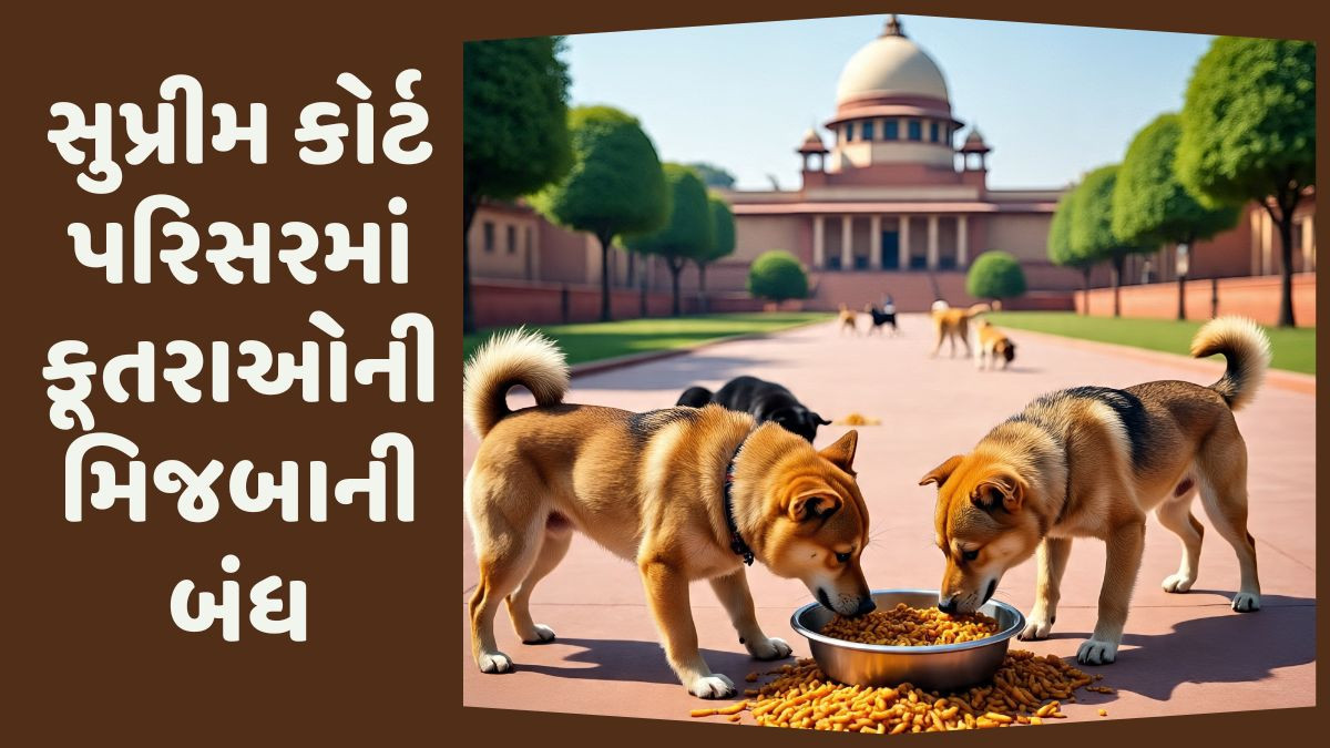 'એઠવાડ ક્યાંય ખુલ્લામાં ના ફેંકો', કૂતરાઓને લઈને સુપ્રીમ કોર્ટ પરિસર માટે નવો સર્ક્યુલર જાહેર