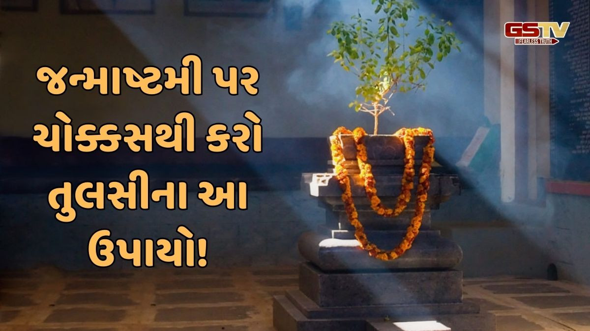જન્માષ્ટમીના દિવસે તુલસીના આ ઉપાયો કરવાથી થશે સુખ-સમૃદ્ધિની પ્રાપ્તિ!