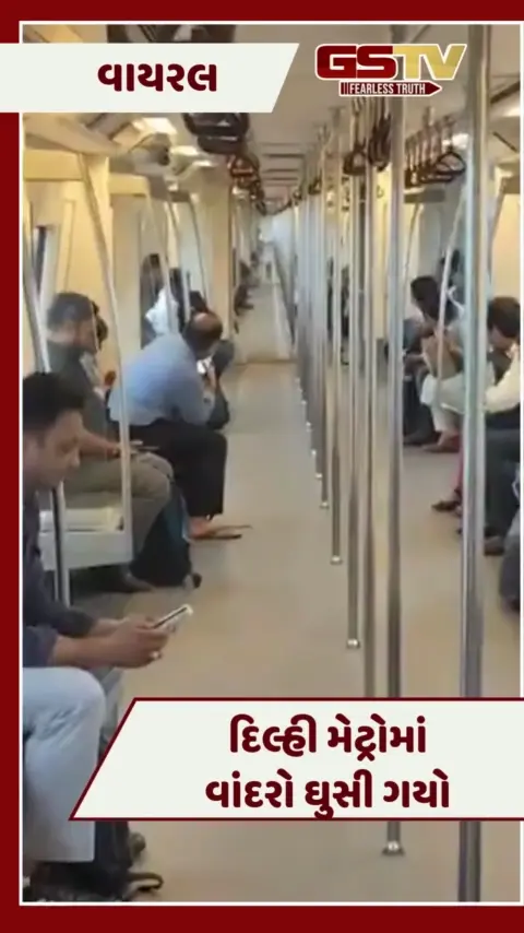 VIDEO : લો બોલો, દિલ્હી મેટ્રોમાં વાંદરો ઘુસી ગયો, જુઓ પછી શું થયું