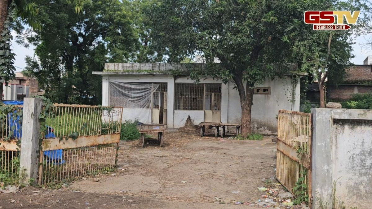 Panchmahal news: ઘોઘંબાની સરકારી જમીનો ખાનગી માલિકીના નામે, તંંત્ર પોતાની મિલકતની જાળવણીમાં ઊણું ઉતર્યું