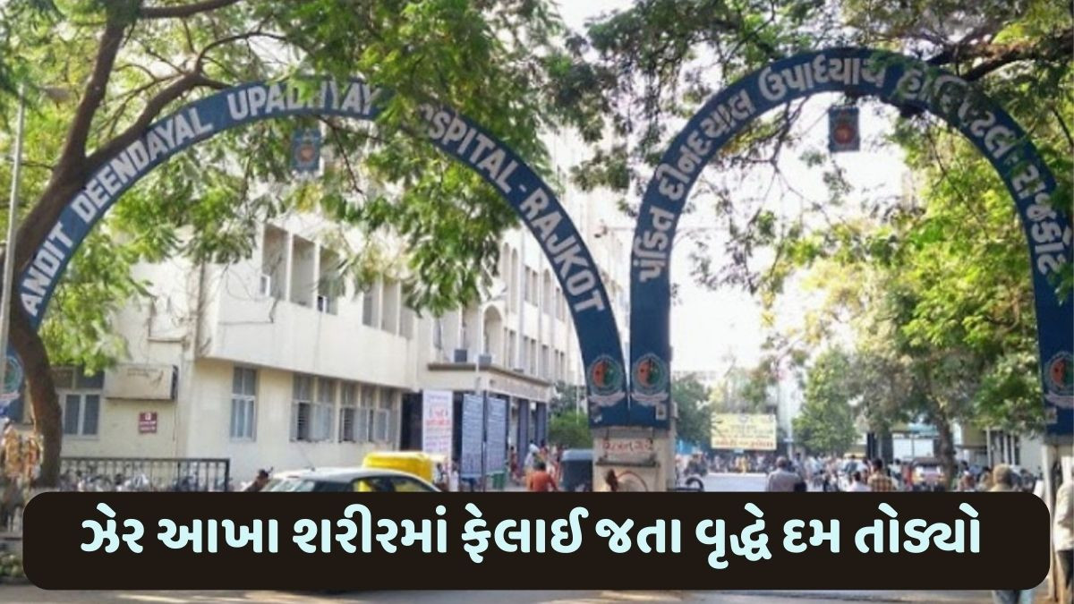 Dhoraji news: ઝેરી જીવાત કરડવાથી વધુ એક વ્યક્તિનું મોત, જાણો કુલ મૃત્યુઆંક