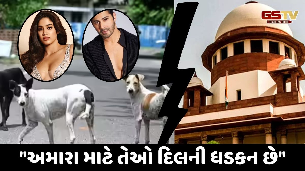 Street Dog પર સુપ્રીમનો આદેશ: જાહ્નવી કપૂર અને વરુણ ધવને પોસ્ટ કરી ઇન્સ્ટાસ્ટોરી