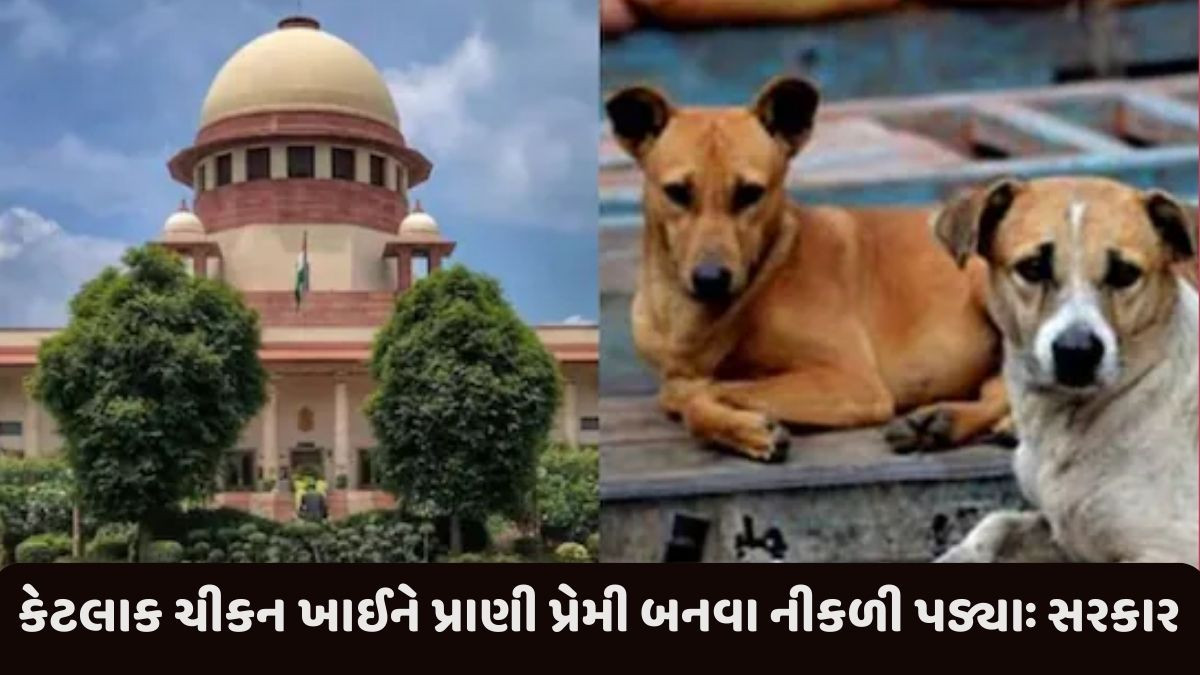 'કૂતરાઓને પકડવા પર રોક લગાવો', સુપ્રીમ કોર્ટે 'વચગાળાના સ્ટે' પર નિર્ણય અનામત રાખ્યો
