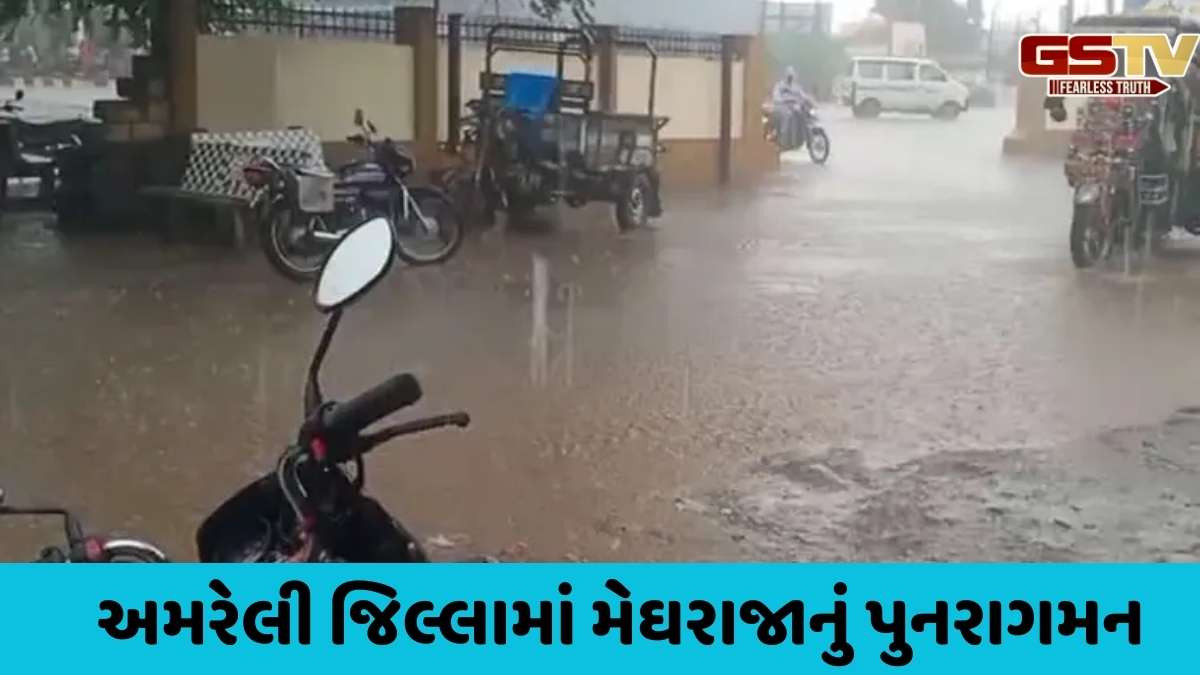 Amreli Rain: જન્માષ્ટમી પર્વે અમરેલી જિલ્લામાં ગાજવીજ સાથે વરસાદ, ખેડૂતોમાં આનંદની લાગણી