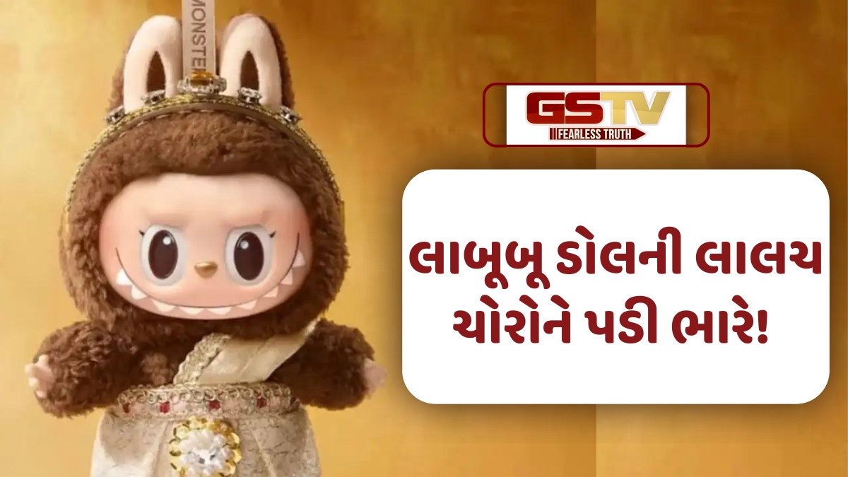 'Labubu Doll' ની વધતી માંગ, બે યુવકોએ ચોરી કરી લાખો રૂપિયાની અનેક લાબુબુ ડોલ, જાણો સમગ્ર ઘટના