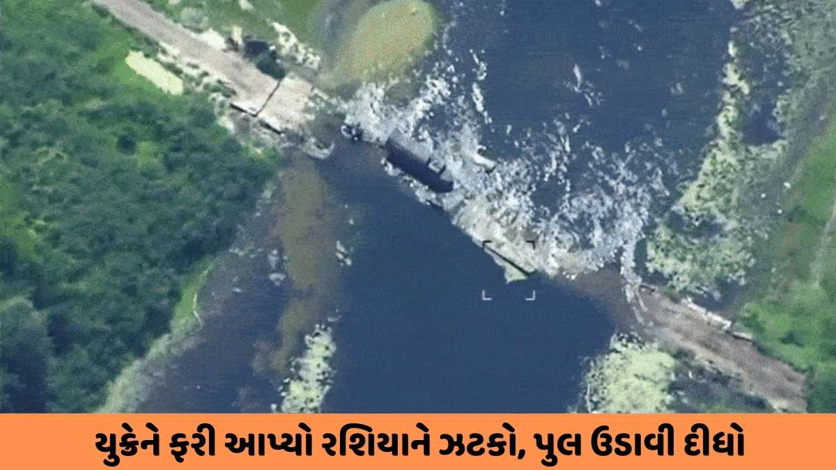 Russia-Ukraine War : રશિયાના તોપખાનાને યુક્રેને ડ્રોનથી ઉડાવીને સૌને ચોંકાવી દીધા, હુમલાનો વીડિયો વાયરલ