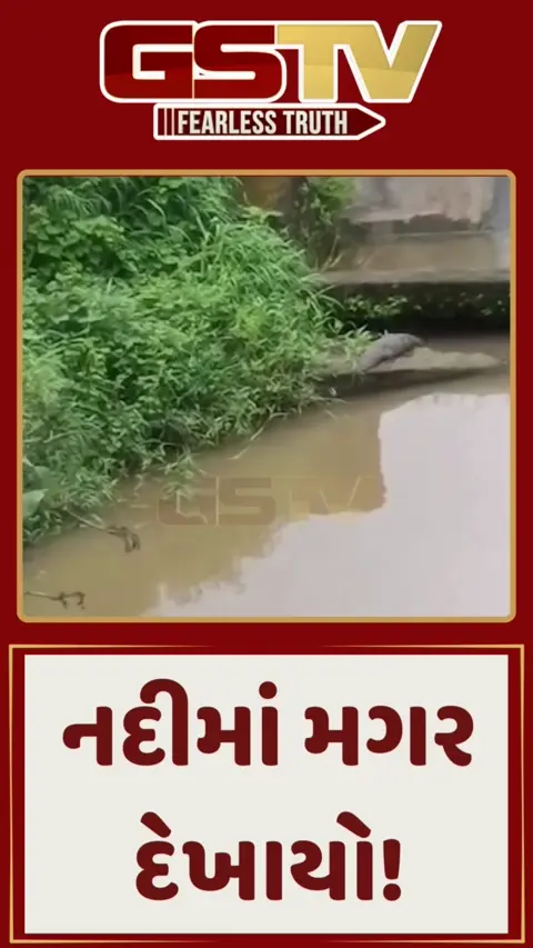 નદીમાં મગર દેખાયો!